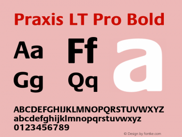 PraxisLTPro-Bold Version 1.000;PS 001.000;hotconv 1.0.38图片样张