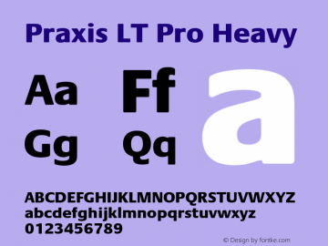 PraxisLTPro-Heavy Version 1.000;PS 001.000;hotconv 1.0.38图片样张