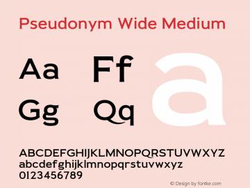 Pseudonym-WideMedium Version 1.000;PS 001.000;hotconv 1.0.88;makeotf.lib2.5.64775图片样张