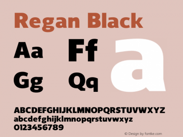 Regan-Black Version 1.001;PS 001.001;hotconv 1.0.56;makeotf.lib2.0.21325图片样张