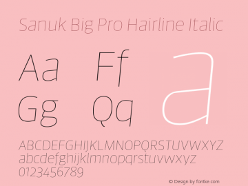 Sanuk Big Pro Hairline Italic Version 7.504; 2016; Build 1024图片样张
