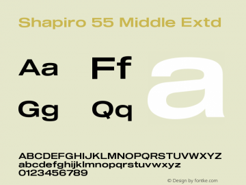 Shapiro 55 Middle Extd Version 3.001图片样张