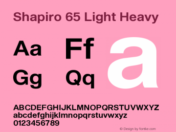 Shapiro 65 Light Heavy Version 2.000图片样张