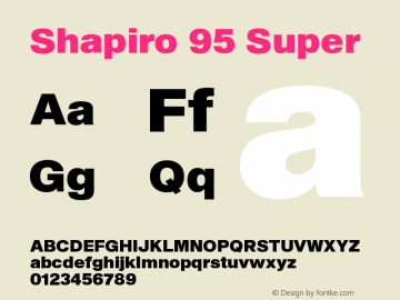Shapiro 95 Super Version 2.000图片样张