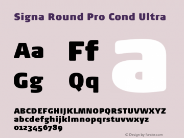 Signa Round Pro Cond Ultra Version 7.504; 2017; Build 1028图片样张