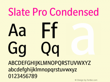 Slate Pro Condensed Version 1.01, build 10, s3图片样张