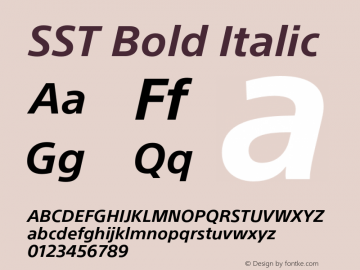 SST Bold Italic Version 1.01, build 10, s3图片样张