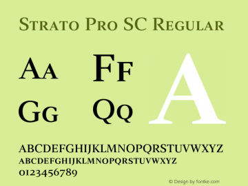 StratoProSCReg Version 001.000图片样张