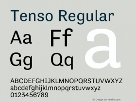 Tenso-Regular Version 1.035图片样张