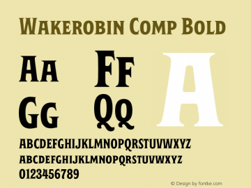 Wakerobin Comp Bold Version 1.00图片样张