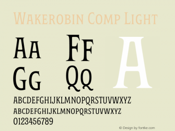 Wakerobin Comp Light Version 1.00图片样张