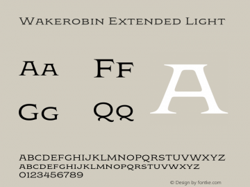Wakerobin Extended Light Version 1.00图片样张