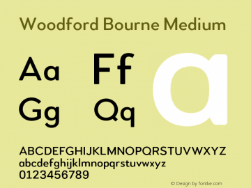 Woodford Bourne Medium Version 2.000;FEAKit 1.0图片样张