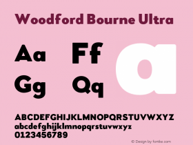 Woodford Bourne Ultra Version 2.000;FEAKit 1.0图片样张