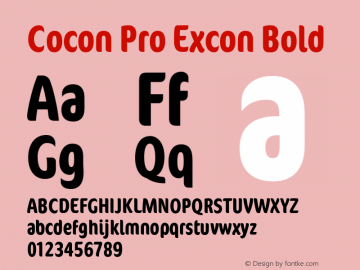 Cocon Pro Excon Bold Version 7.600图片样张