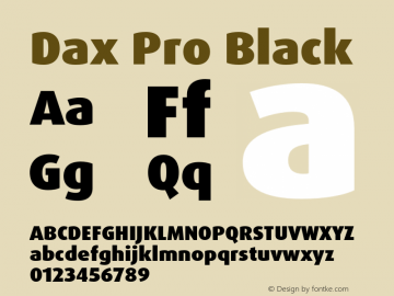 Dax Pro Black Version 7.504; 2005; Build 1025图片样张
