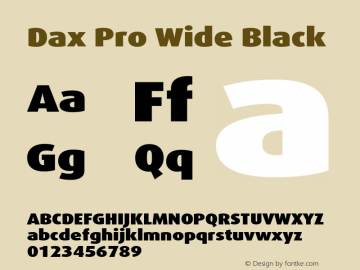 Dax Pro Wide Black Version 7.504; 2006; Build 1022图片样张