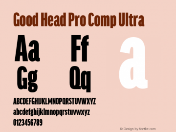 Good Head Pro Comp Ultra Version 7.60图片样张
