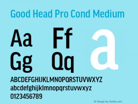 Good Head Pro Cond Medium Version 7.60图片样张