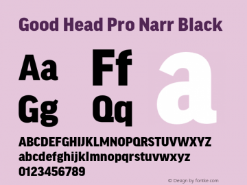Good Head Pro Narr Black Version 7.60图片样张