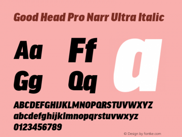 Good Head Pro Narr Ultra It Version 7.60图片样张