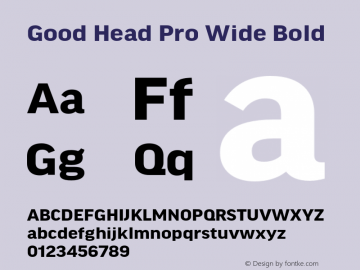 Good Head Pro Wide Bold Version 7.60图片样张