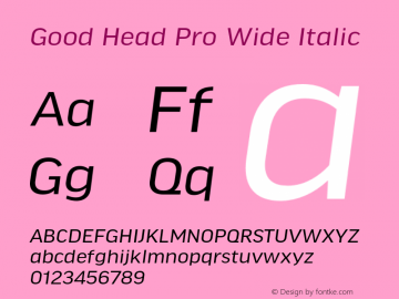 Good Head Pro Wide Italic Version 7.60图片样张