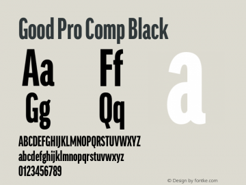 Good Pro Comp Black Version 7.60图片样张