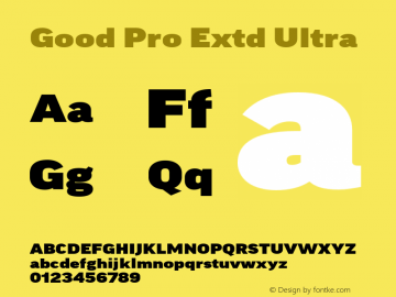 Good Pro Extd Ultra Version 7.60图片样张