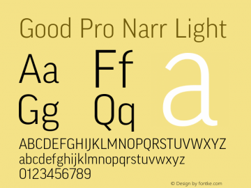 Good Pro Narr Light Version 7.60图片样张