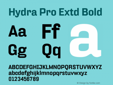 HydraPro-ExtdBold Version 7.504; 2012; Build 1021图片样张