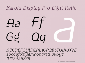 Karbid Display Pro Light Ita Version 7.60图片样张