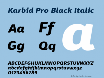 Karbid Pro Black Italic Version 7.60图片样张