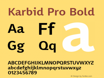 Karbid Pro Bold Version 7.60图片样张