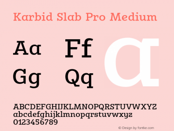 Karbid Slab Pro Medium Version 7.60图片样张