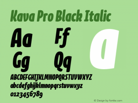 KavaPro-BlackIta Version 7.504; 2010; Build 1020图片样张