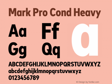 Mark Pro Cond Heavy Version 7.60图片样张