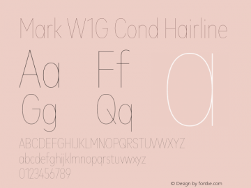 Mark W1G Cond Hairline Version 1.00, build 9, g2.6.4 b1272, s3图片样张