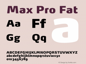 MaxPro-Fat Version 7.504; 2008; Build 1025图片样张