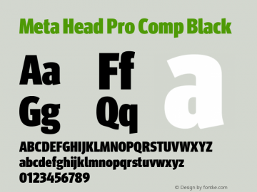 Meta Head Pro Comp Black Version 7.600, build 1027, FoPs, FL 5.04图片样张
