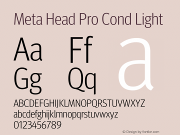 Meta Head Pro Cond Light Version 7.600, build 1027, FoPs, FL 5.04图片样张