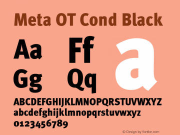 Meta OT Cond Black Version 7.600, build 1027, FoPs, FL 5.04图片样张