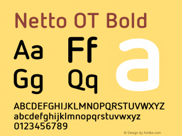 Netto OT Bold Version 7.600, build 1027, FoPs, FL 5.04图片样张