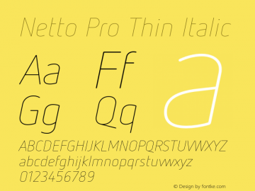 Netto Pro Thin Italic Version 7.600, build 1027, FoPs, FL 5.04图片样张