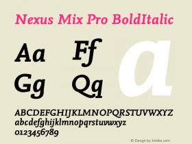 Nexus Mix Pro Bold Italic Version 7.600, build 1027, FoPs, FL 5.04图片样张