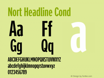 Nort Headline Cond Version 1.00图片样张