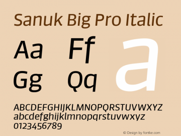 Sanuk Big Pro Italic Version 7.504; 2016; Build 1024图片样张