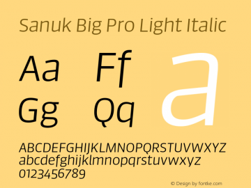Sanuk Big Pro Light Italic Version 7.504; 2016; Build 1024图片样张