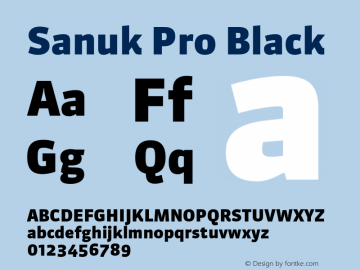 Sanuk Pro Black Version 7.504; 2010; Build 1026图片样张