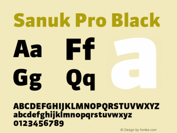 Sanuk Pro Black Version 7.504; 2016; Build 1022图片样张